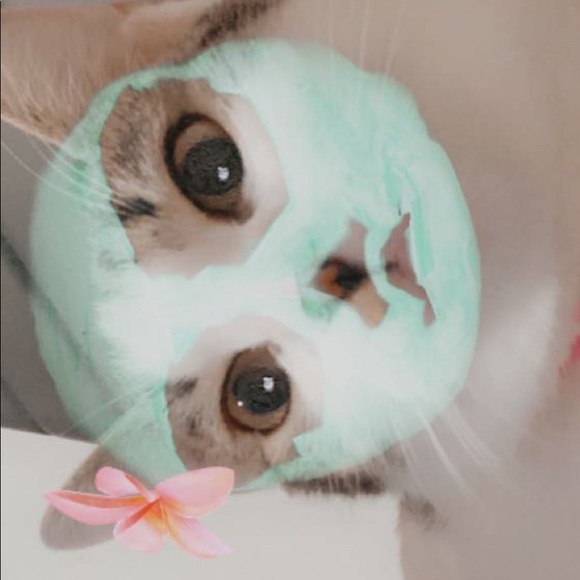 Meet your Posher, Mahaylia-janae - Picture 1 of 1